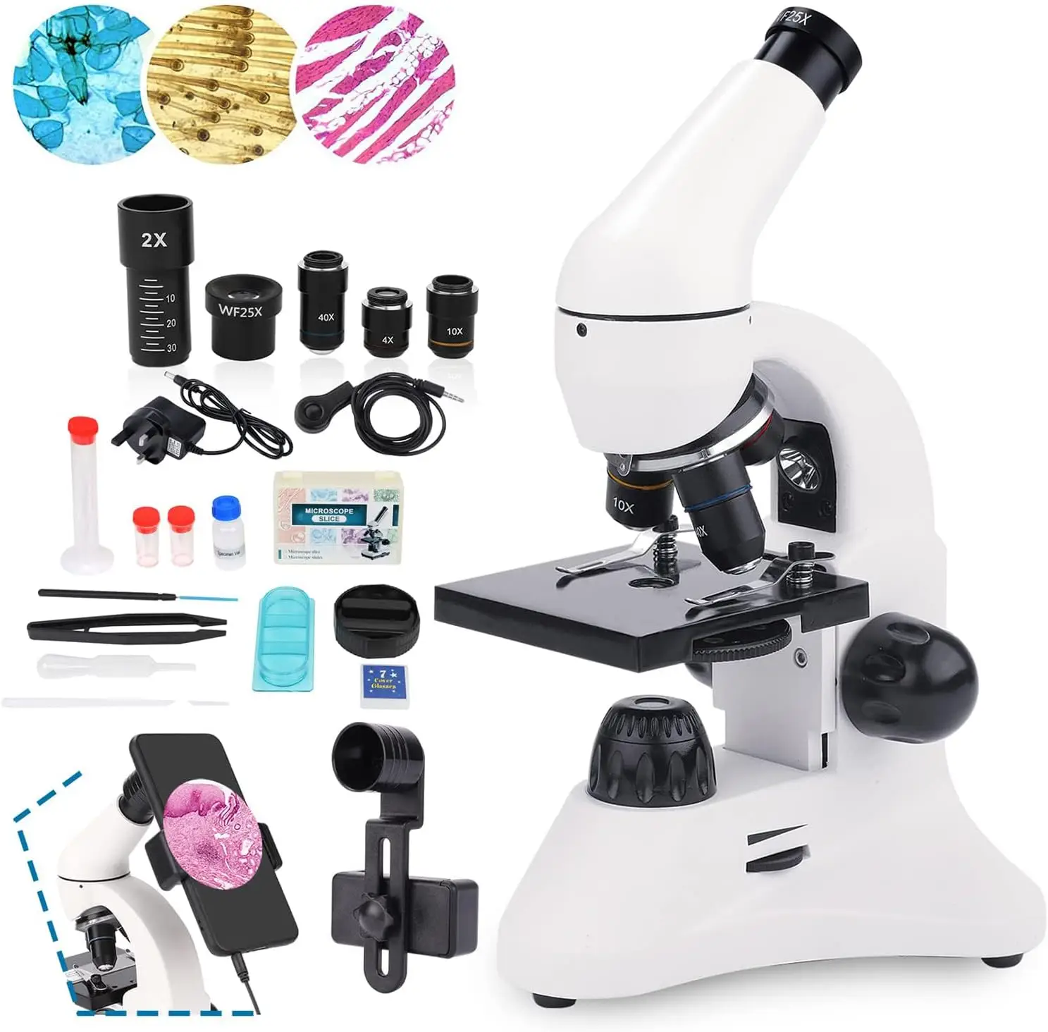 Advanced Educational Microscope with 40X-2000X Magnification - Complete ...